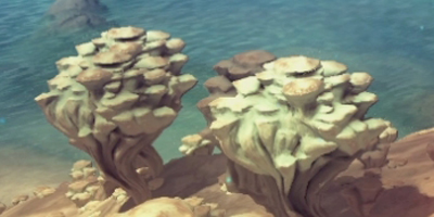 The_coral_plant