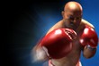 Reward 2 : Powered-Up Boxing Gloves