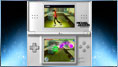 Nintendo DS Beat It