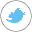 Follow Ghost Recon on Twitter