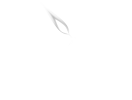snowdrop